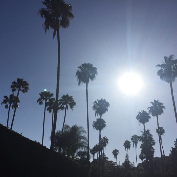 Meet your Posher, Millie - Picture 5 of 5